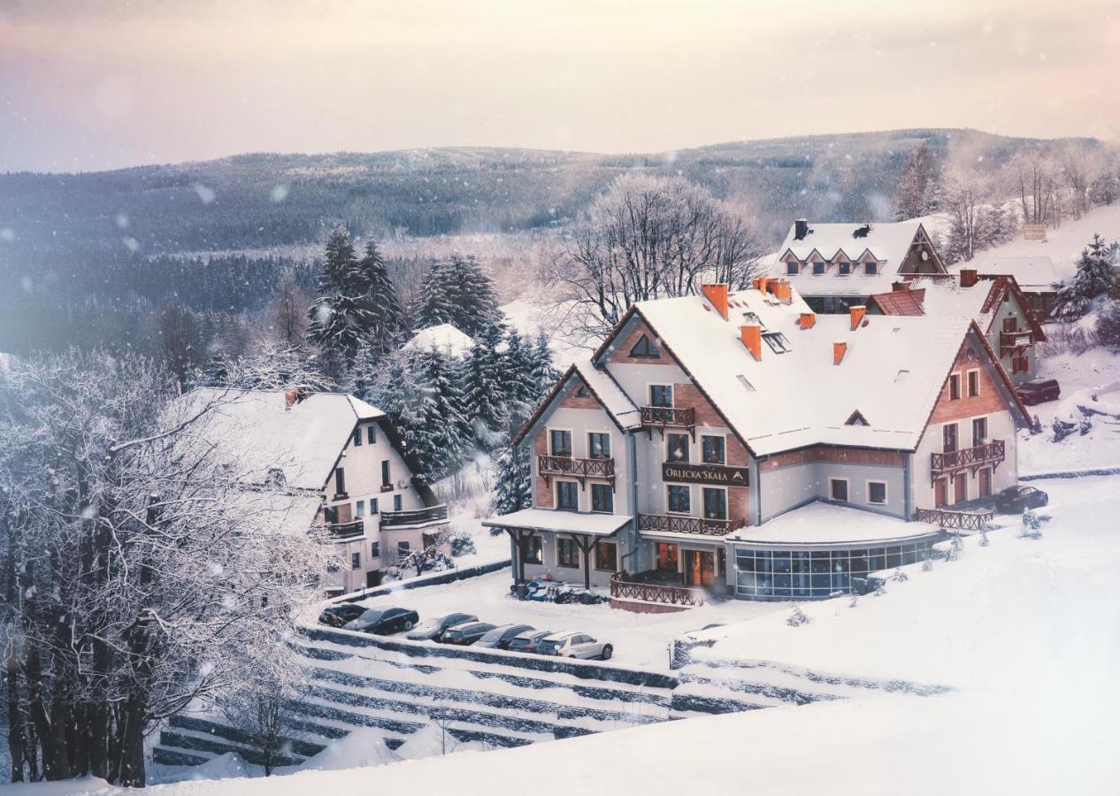 Bed and Breakfast Orlicka Skala Зеленець Екстер'єр фото